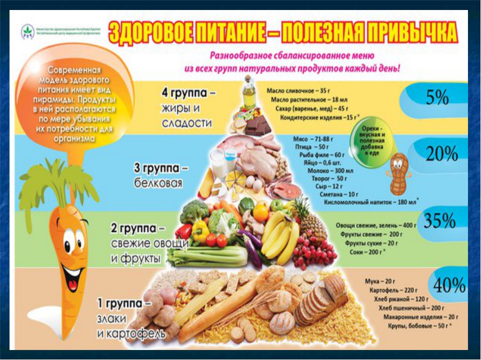 Информация об условиях питания обучающихся.