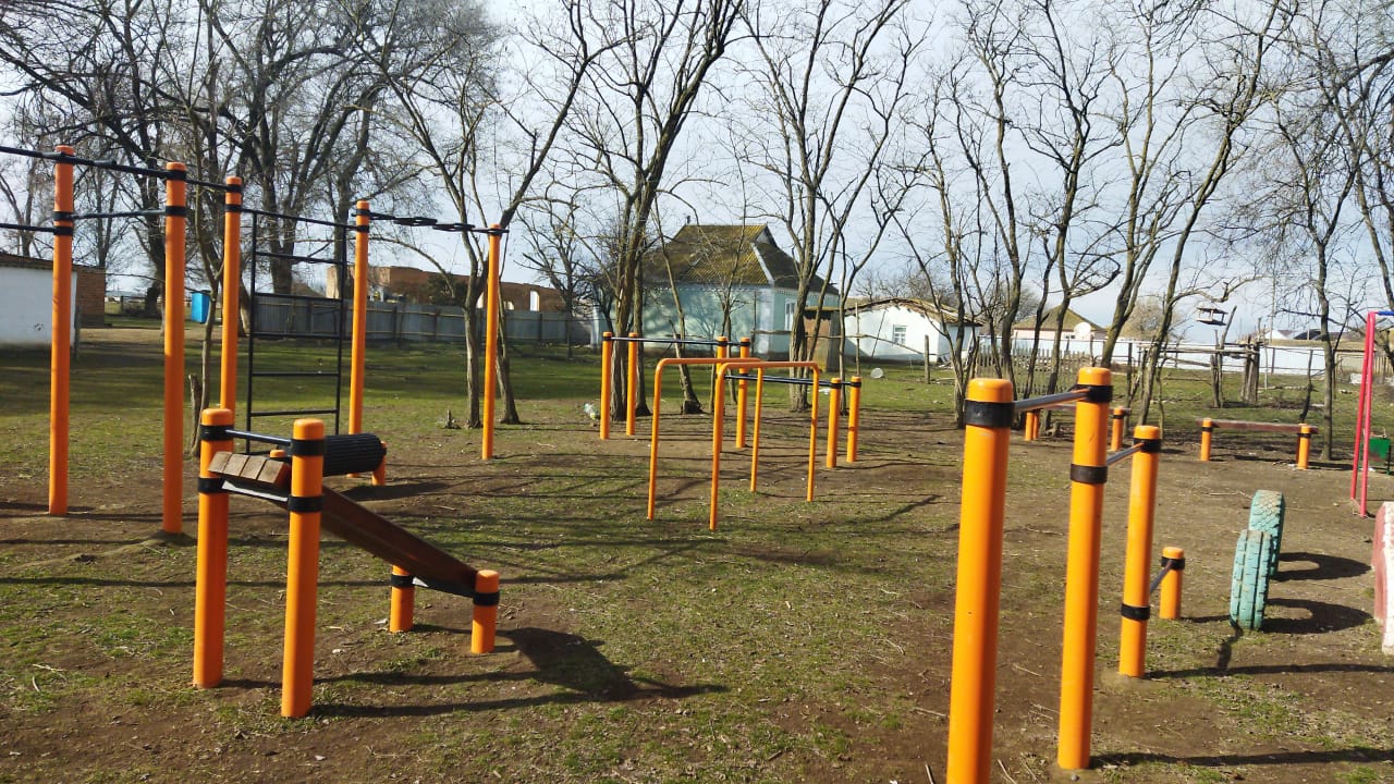 Спорт и физкультура в школе.